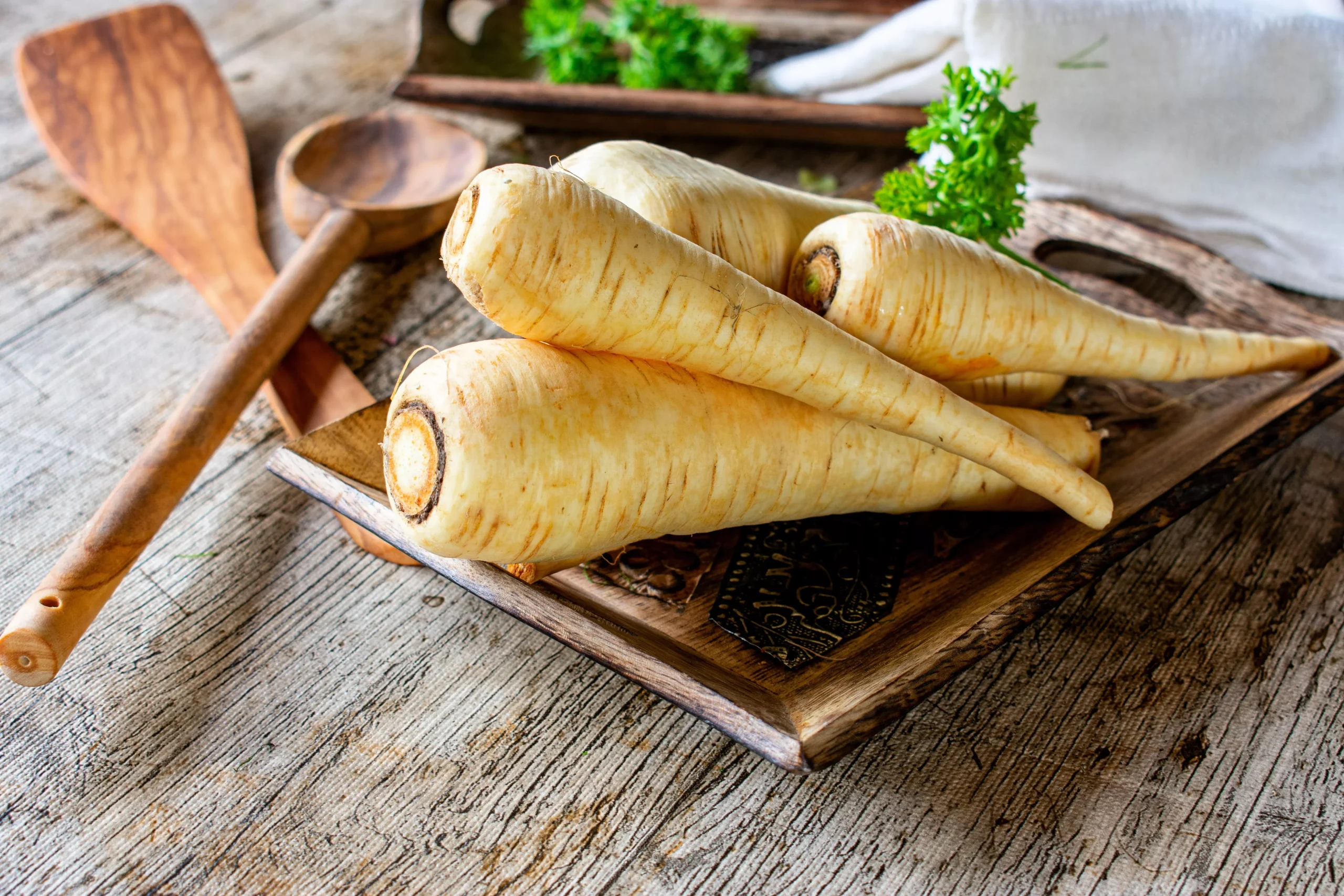 1000 ALL AMERICAN PARSNIP Pastinaca Sativa White Root Vegetable Seeds