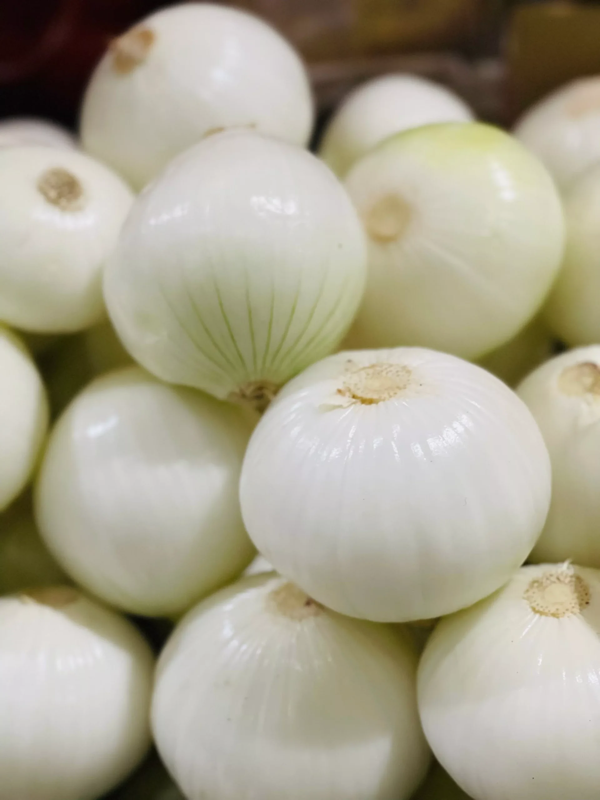 250 ECLIPSE ONION White Sweet Allium Cepa Vegetable Seeds