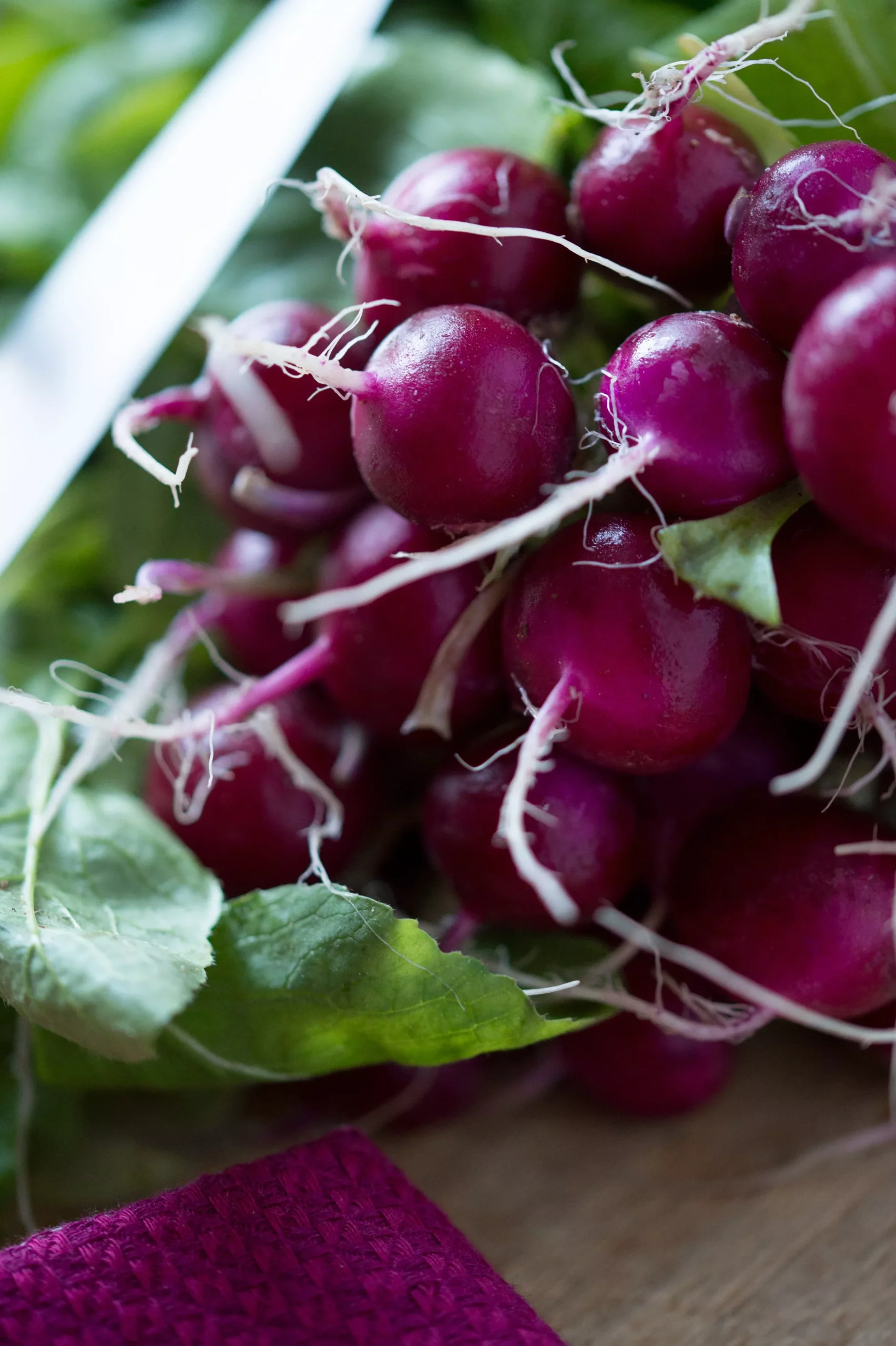 300 PURPLE PLUM RADISH Raphanus Sativus White Flesh Root Vegetable Seeds