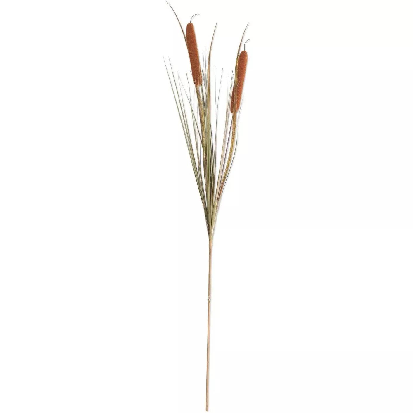 42"Double Cattail Stem