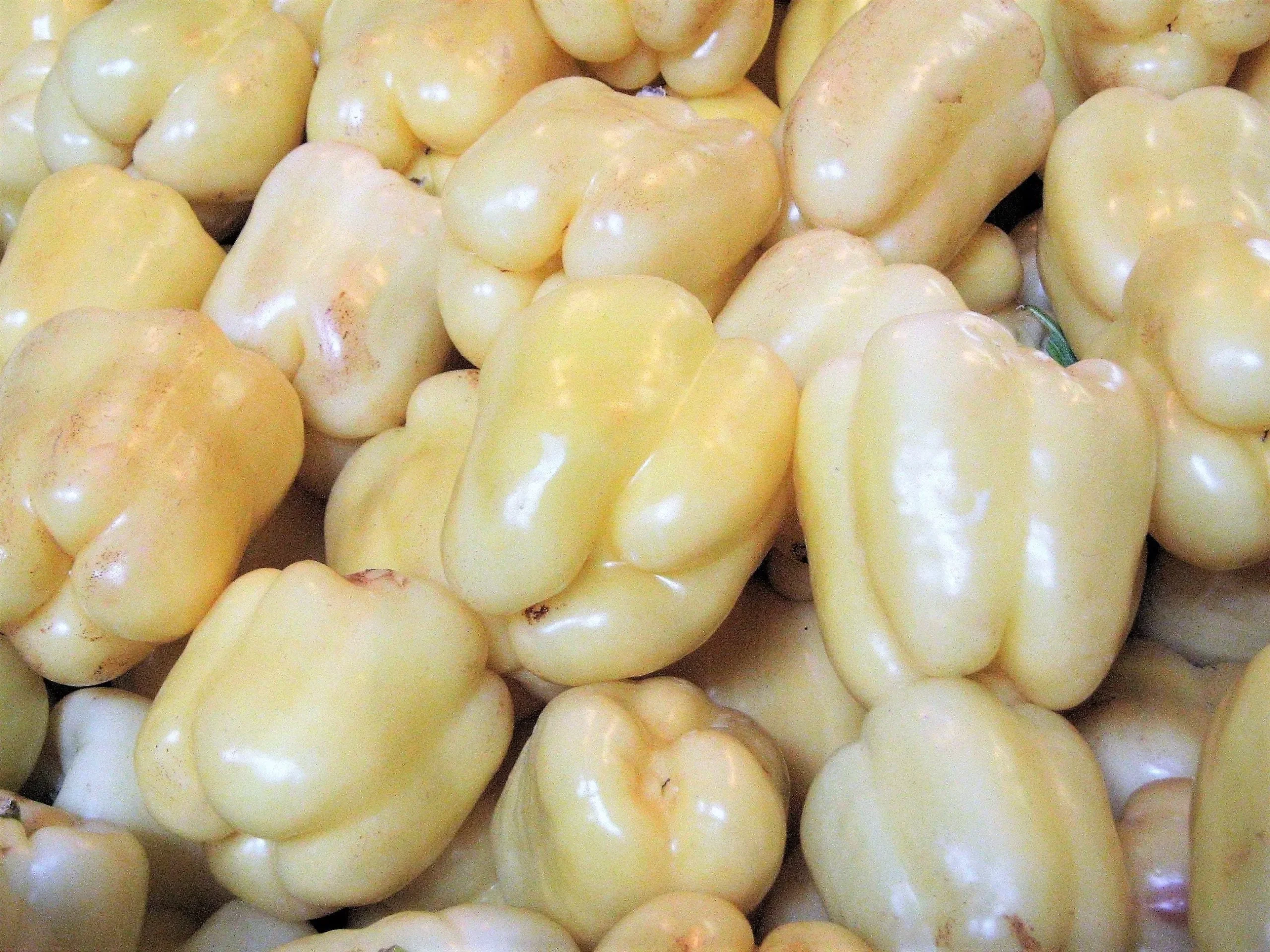 50 WHITE CLOUD BELL PEPPER Sweet Mild Capsicum Annuum Vegetable Seeds