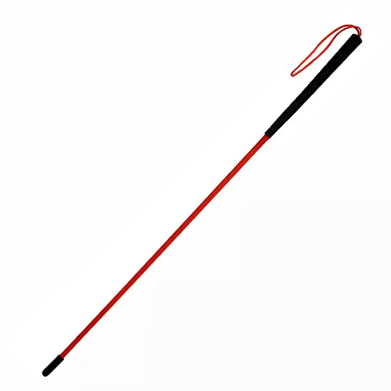 Avery Trainer’s Heeling Stick