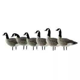 Avian-X AXP Active Lessers: Active Pack