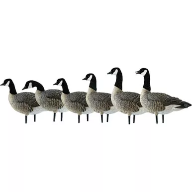 Avian X Axp Lessers Active Pack Canada Geese