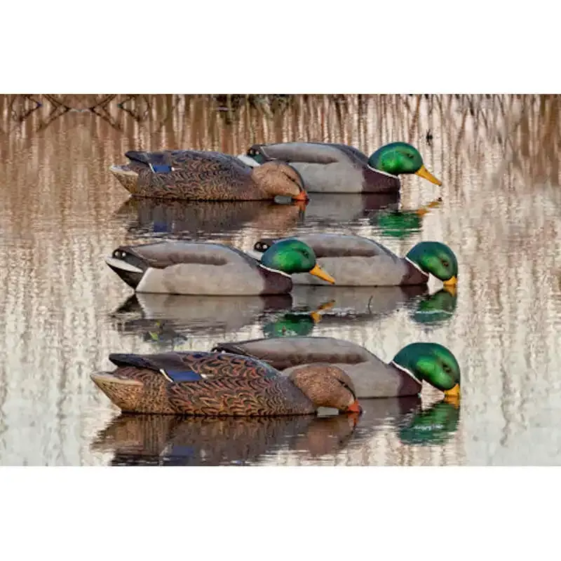 Avian-X Back Water Mallard Floaters