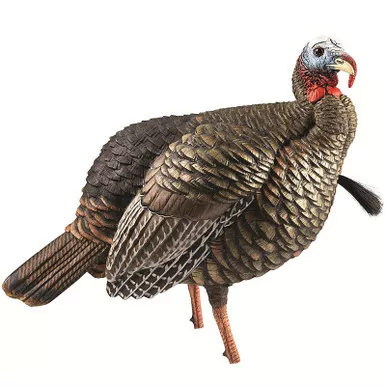 Avian-X HDR Jake Turkey Decoy