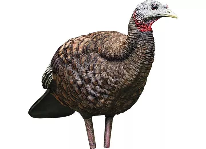 Avian-X LCD Breeder Hen Decoy• -AVX8008