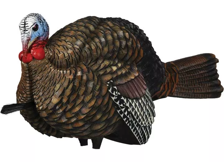 Avian-X LCD Half-Strut Jake Decoy• -AVX8012
