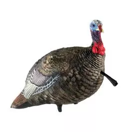 Avian-X LCD (Lifelike Collapsible Decoy) Turkey Decoys