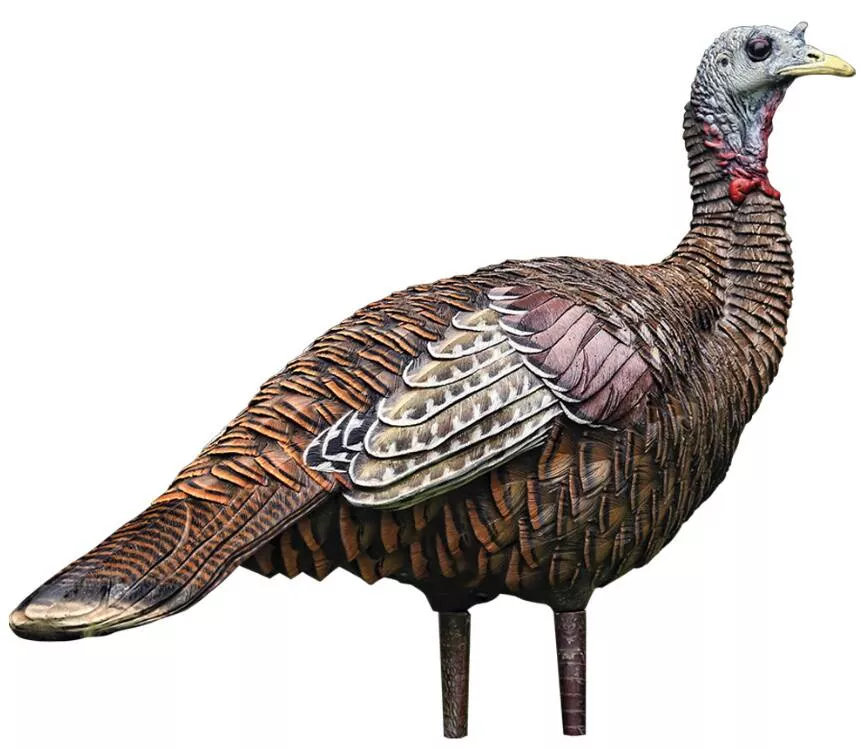 Avian-X LCD Lookout Hen Decoy• -AVX8006