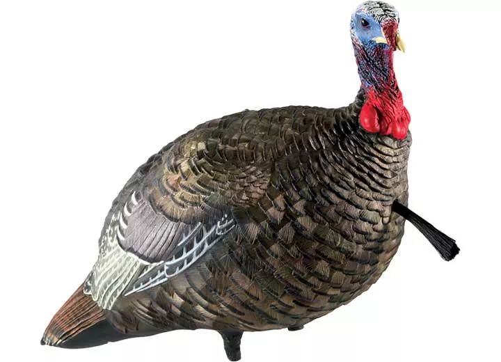 Avian-X LCD Quarter-Strut Jake Turkey Decoy• -AVX8003