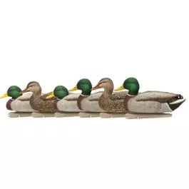 Avian-X Mallard Floaters 6 PACK (Open Water)