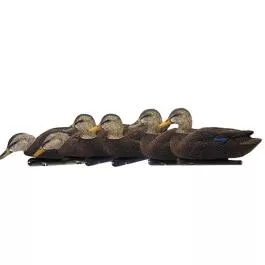 Avian-X Top Flight Flocked Bk Duck 6pk