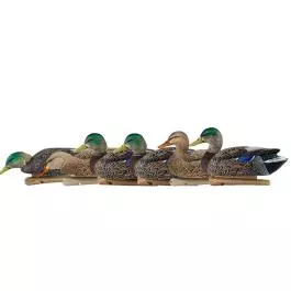 Avian-X TopFlight Early Season Mallard
