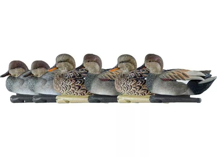 Avian-X Topflight Gadwall Decoys, 6 Pack• -AVX8085
