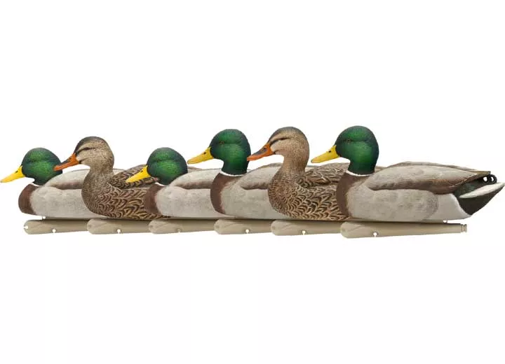 Avian-X Topflight Mallard Decoys Open Water 6 Pack• -AVX8060