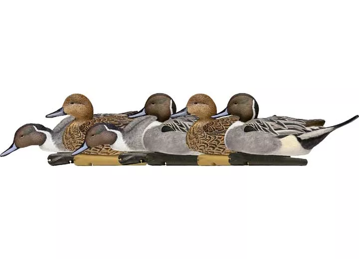 Avian-X Topflight Pintail Decoys, 6 Pack• -AVX8082