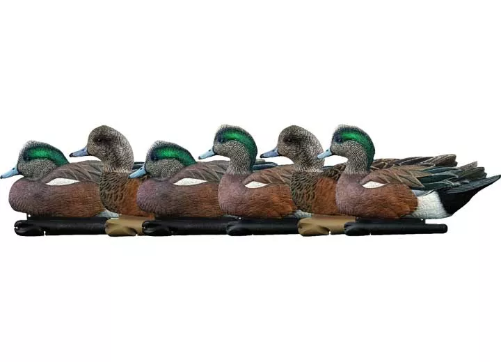 Avian-X Topflight Wigeon Decoys, 6 Pack• -AVX8084