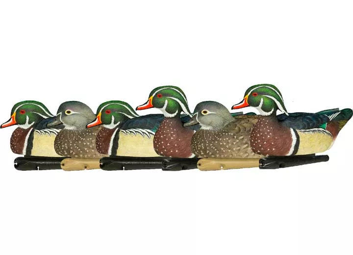 Avian-X Topflight Wood Duck Decoys, 6 Pack• -AVX8083