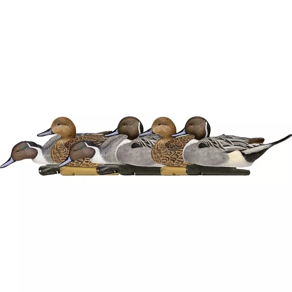 Avianx Top Flight Duck Decoys Pintail 6 Pk.
