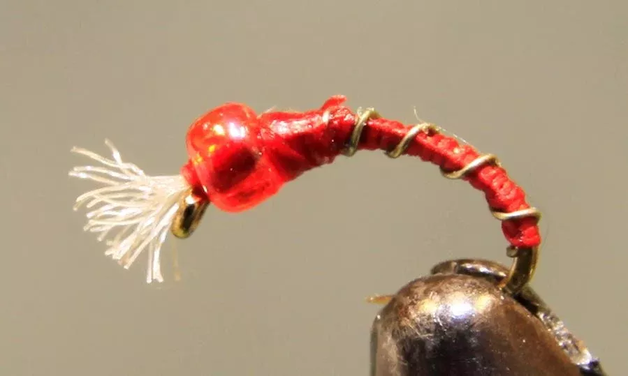 Barbed Wire™ - Midge