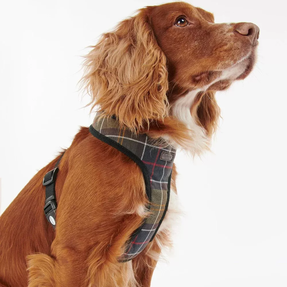 Barbour Dog Harness