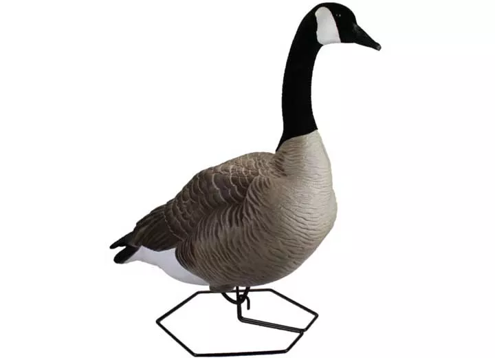 Beavertail Dominator Series Full Body Decoys, Active 4 Pack• 450045