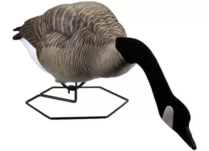 Beavertail Dominator Series Full Body Decoys, Feeder 4 Pack• 450046
