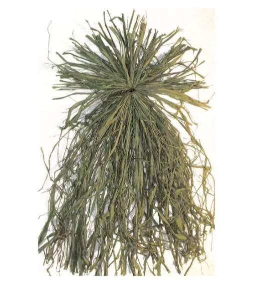 Beavertail Ghillie Grass Bundle Green – All Natural Raffia Grass Bundle• 400160