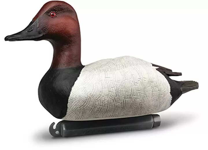 Beavertail Refuge Series Canvasback Floater Decoys, 6 Pack• 450031