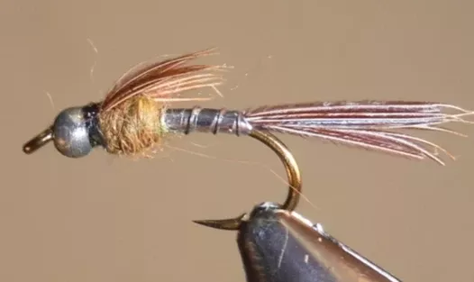 BH Lightning Bug - Silver
