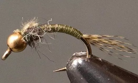BH Olive WD-40