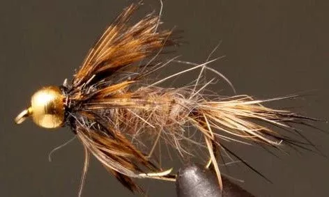 BH Red Fox Squirrel