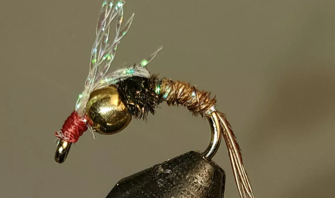 BH Sparkle Back PT