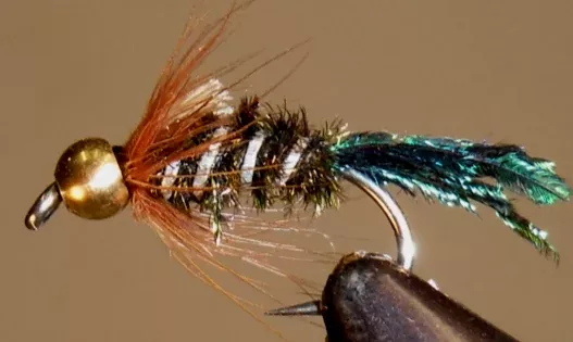 BH Zug Bug