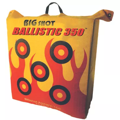 Big Shot Ballistic 350 Bag Target