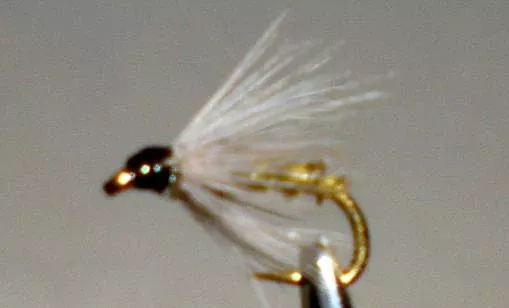 Biot Soft Hackle™ – BWO