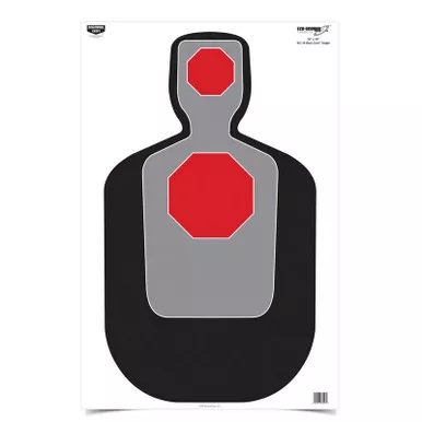 Birchwood Casey BC-37043 Eze-Scorer 23" X 35" Target, 100 Pack - BC-19