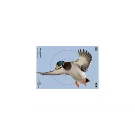 Birchwood Casey Pregame Duck Reactive Target