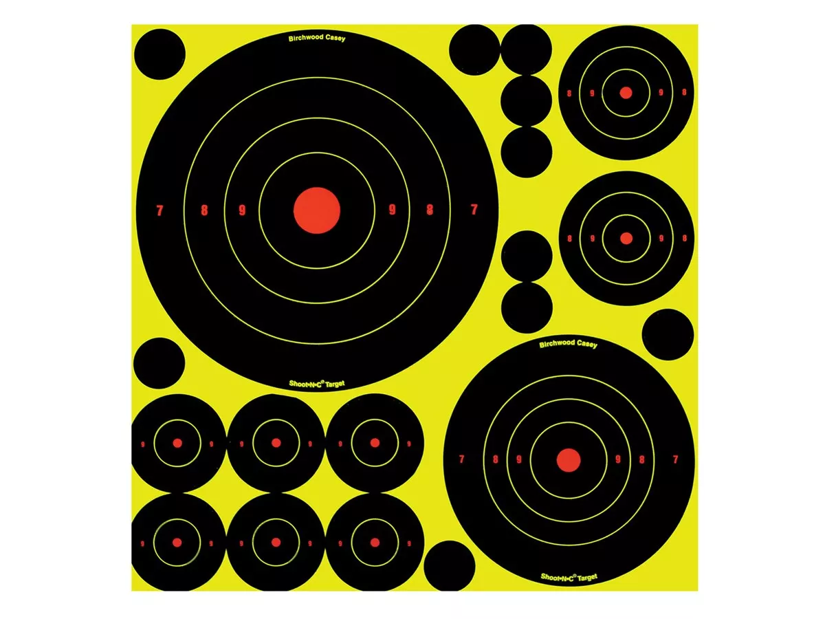Birchwood Casey Shoot-N-C Variety Pack, 50 Bullseye Targets + 50 Pasters