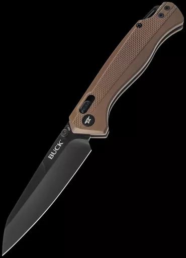 Buck 698 Ferrox Bronze Folding Knife