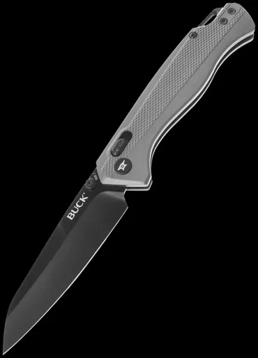 Buck 698 Ferrox Folding Knife