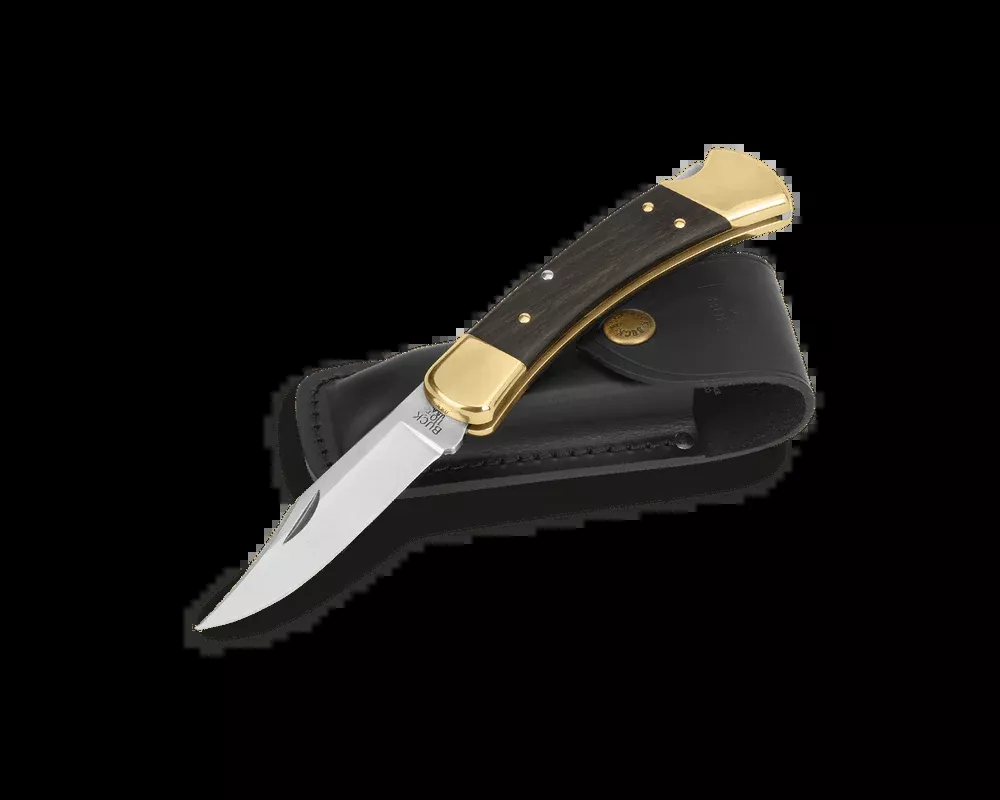 Buck Knives 110 Folding Hunter Back Lock Knife