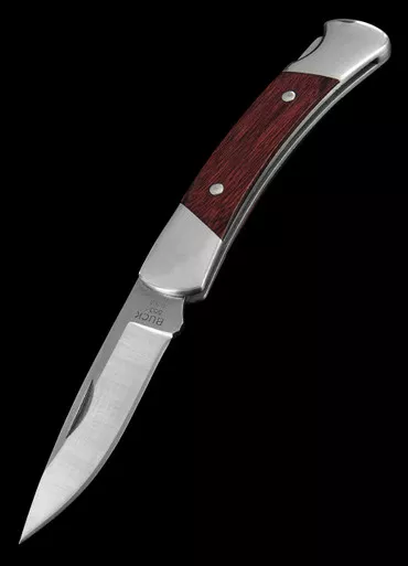 Buck Prince Folding Knife
