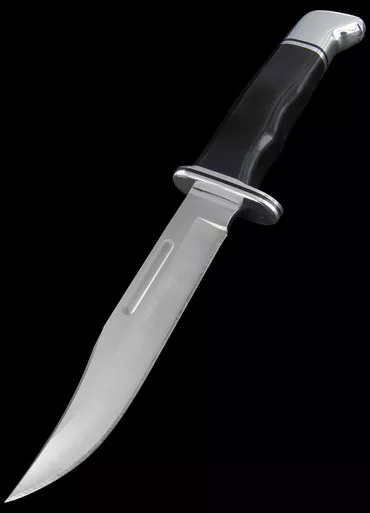 Buck Special 119 Fixed Blade