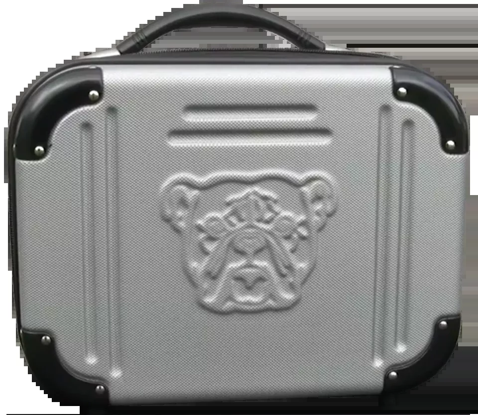Bulldog Double Molded Pistol Case with TSA Lock, ABS/Polycarbonate Shell, Holds 4 Handguns, BD580