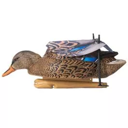 Chatter Duck Mallard Hen Decoy