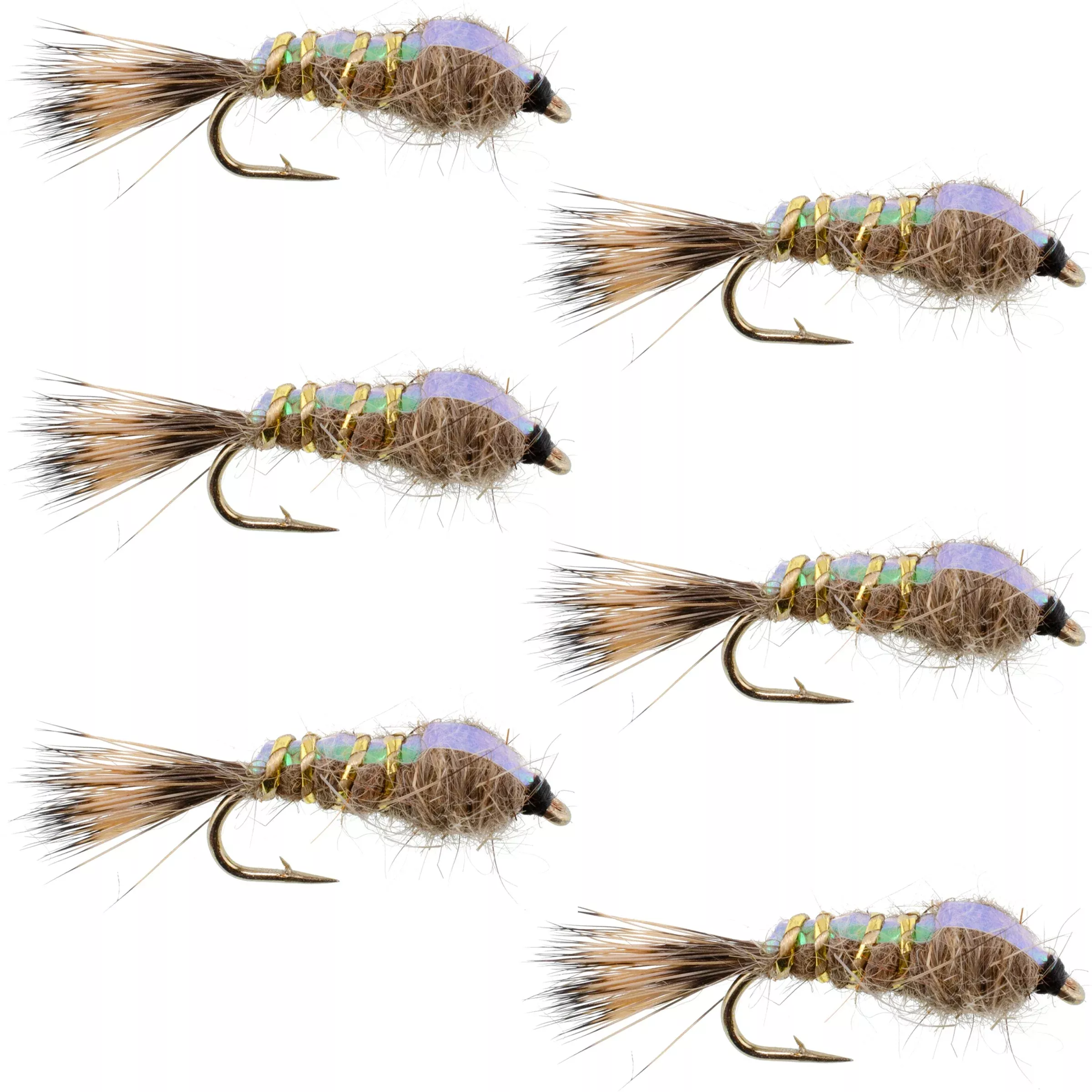 Classic Weighted Flashback Gold Ribbed Hares Ear Nymph - Set of 6 Flies - Size 12