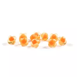 Cleardrift Tackle Embryo Egg Clusters - Medium: 10 Per Pack - Natural Orange/Orange Dot