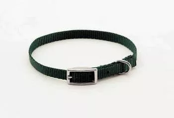 Coastal Pet 10″ Small Dog Collar
